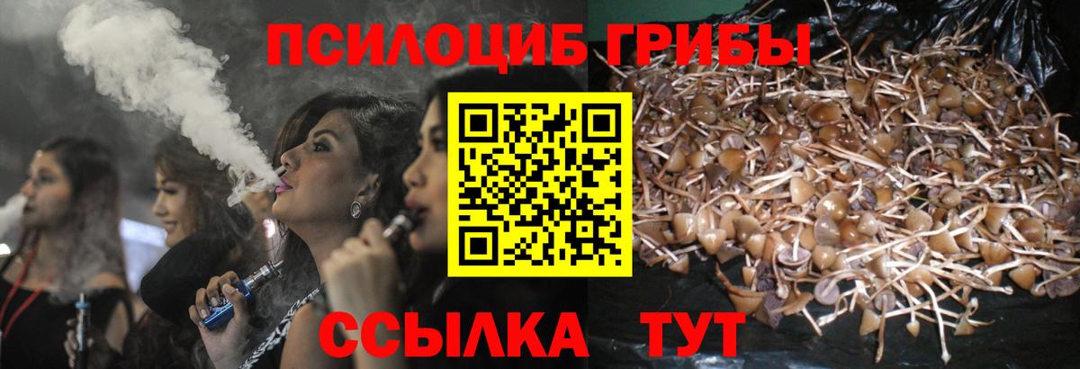 ТГК  LSD-25  Вход с VPN  МЕФ   Конопля  МДМА  Бийск  ГАШ 