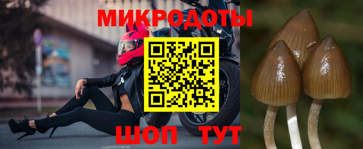 Псилоцибиновые грибы MAGIC MUSHROOMS Бийск