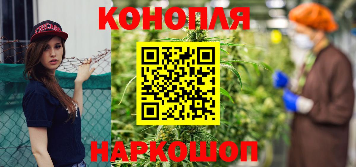 Канабис планчик Бийск